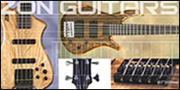 zon guitars